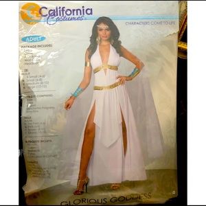 Goddess Halloween costume